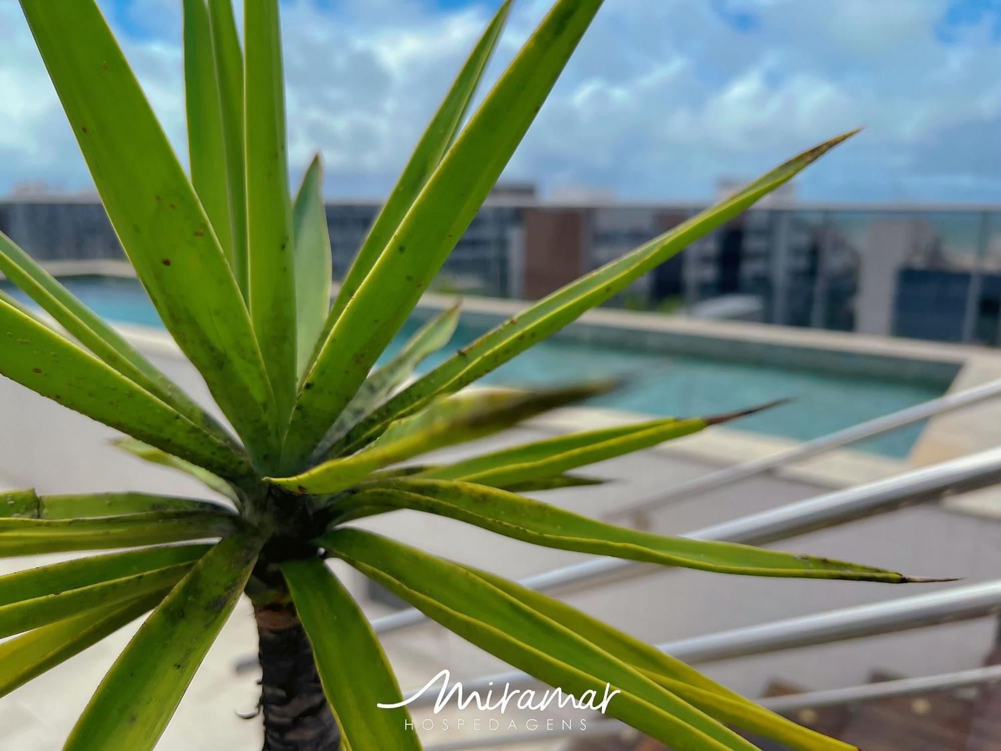 Box 150-Miramar Hospedagens Apartment - Joao Pessoa — Photos 3